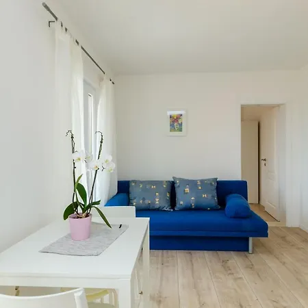 Apartament Color