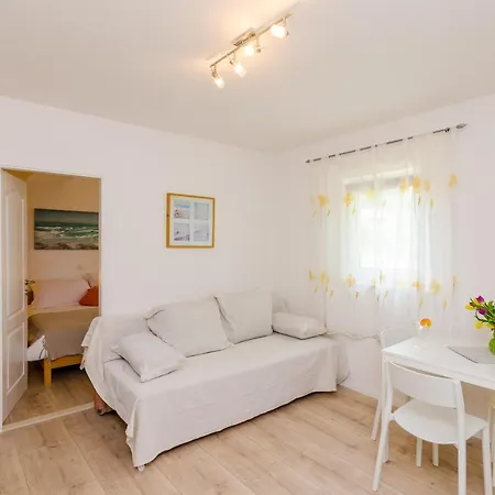 Apartment Color